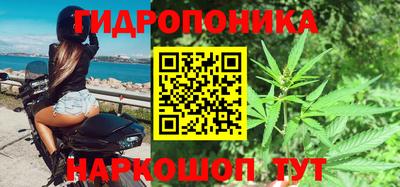 a pvp Аша